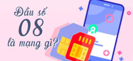 Đầu số 08 là mạng gì? Sim 08 là của Vinaphone, Viettel hay Mobifone?